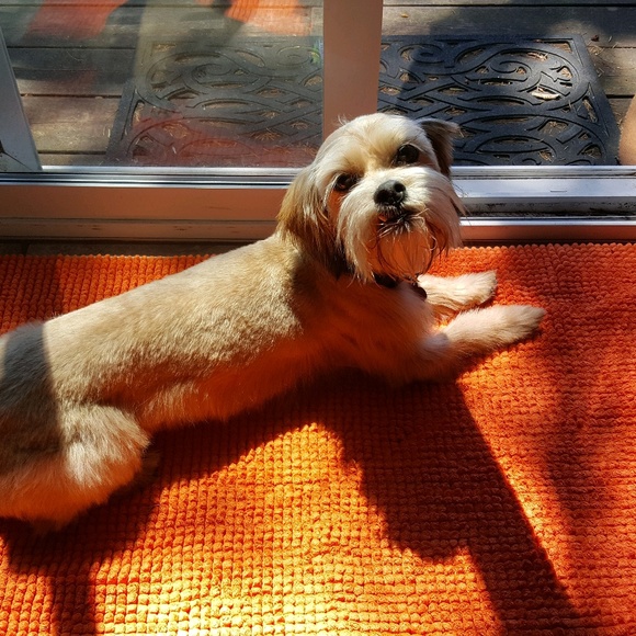 Meet your Posher, Judy - Picture 1 of 1